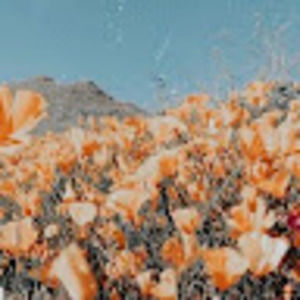 Meet your Posher, Sofie